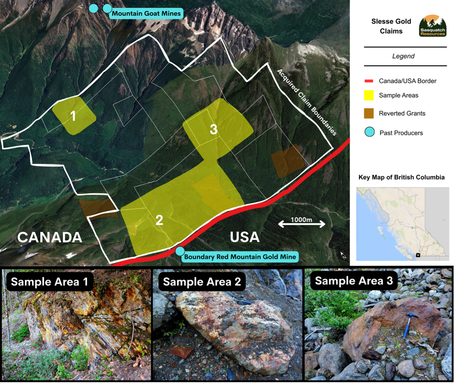 Figure 1 – Slesse Gold Claims Area