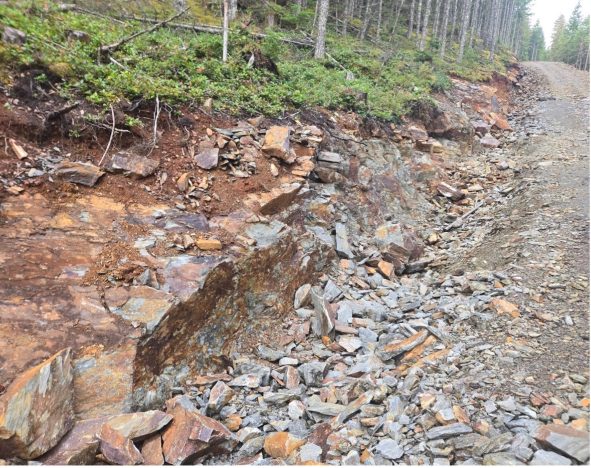 Photo 1 – New logging road cuts through large area of mineralized rock