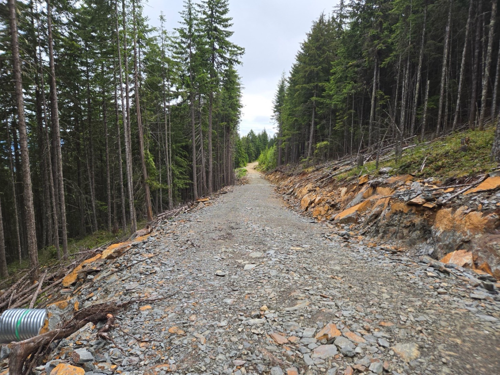 Photograph 1 – Newly constructed logging road on Mount Sicker cuts through VMS