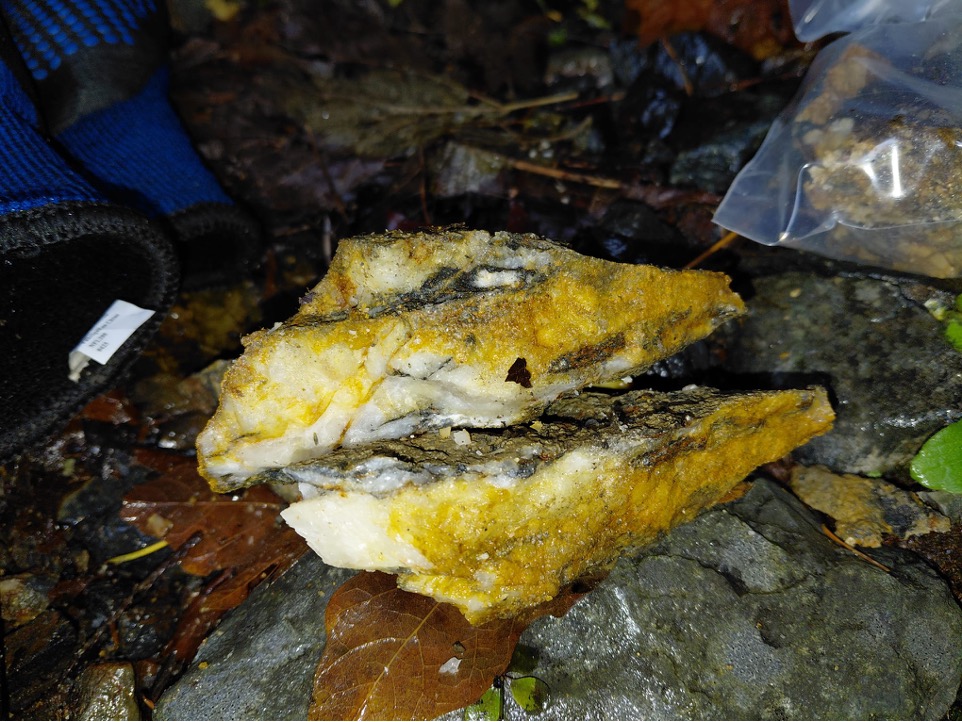 Photograph 2 – Quartz vein sample from Slesse Gold Claims