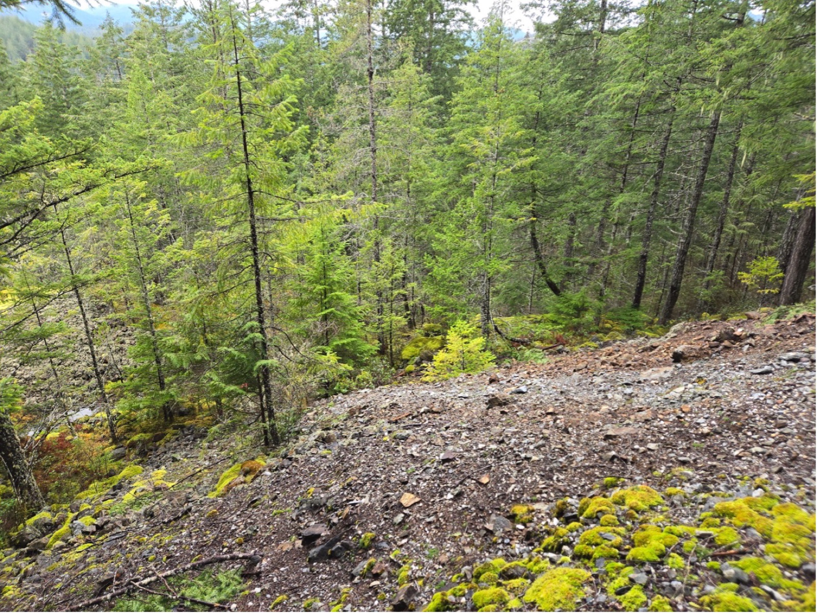 Photograph 6 – Top of large waste pile at Santana, scattered sulphide waste running a large distance down the hill (continues down the hill on the left side of the photograph).