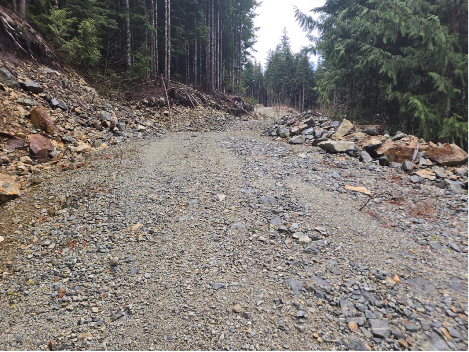 Photograph 1 – Blue Grouse waste-rock pile