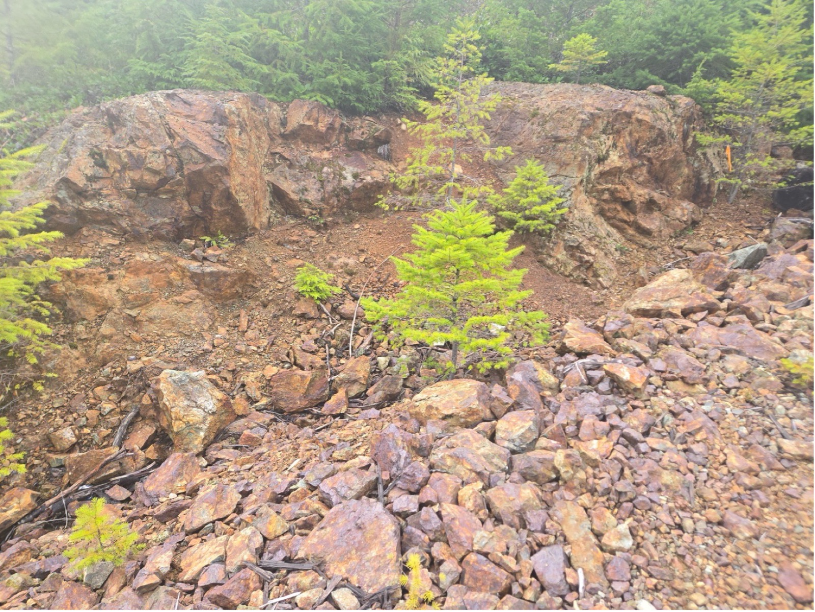 Photograph 3 – One of the many hazards left behind at Blue Grouse, an open shaft with a make-shift barriers and spray-painted warning, saying