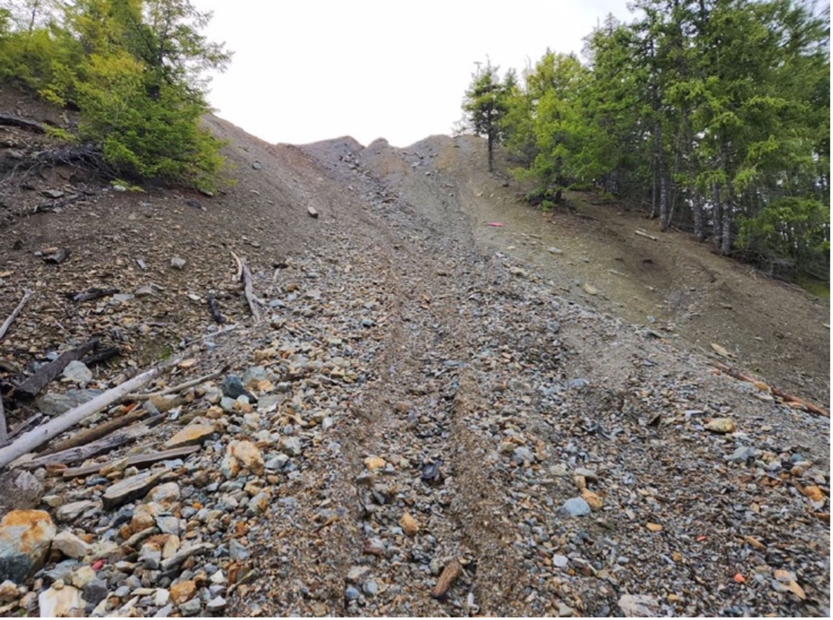 Figure 1. Waste rock pile at Mount Sicker (one of many)