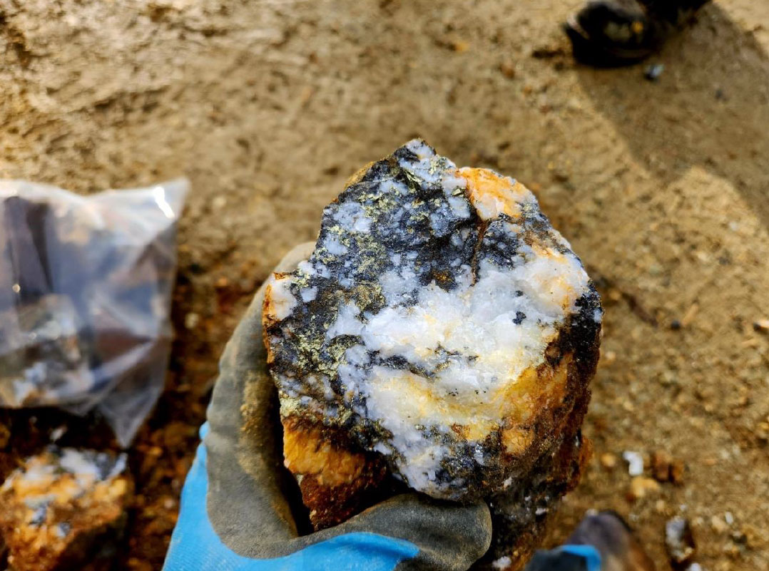 Figure 8: Chip from a 200 lbs mineralized boulder encountered while waste rock sampling