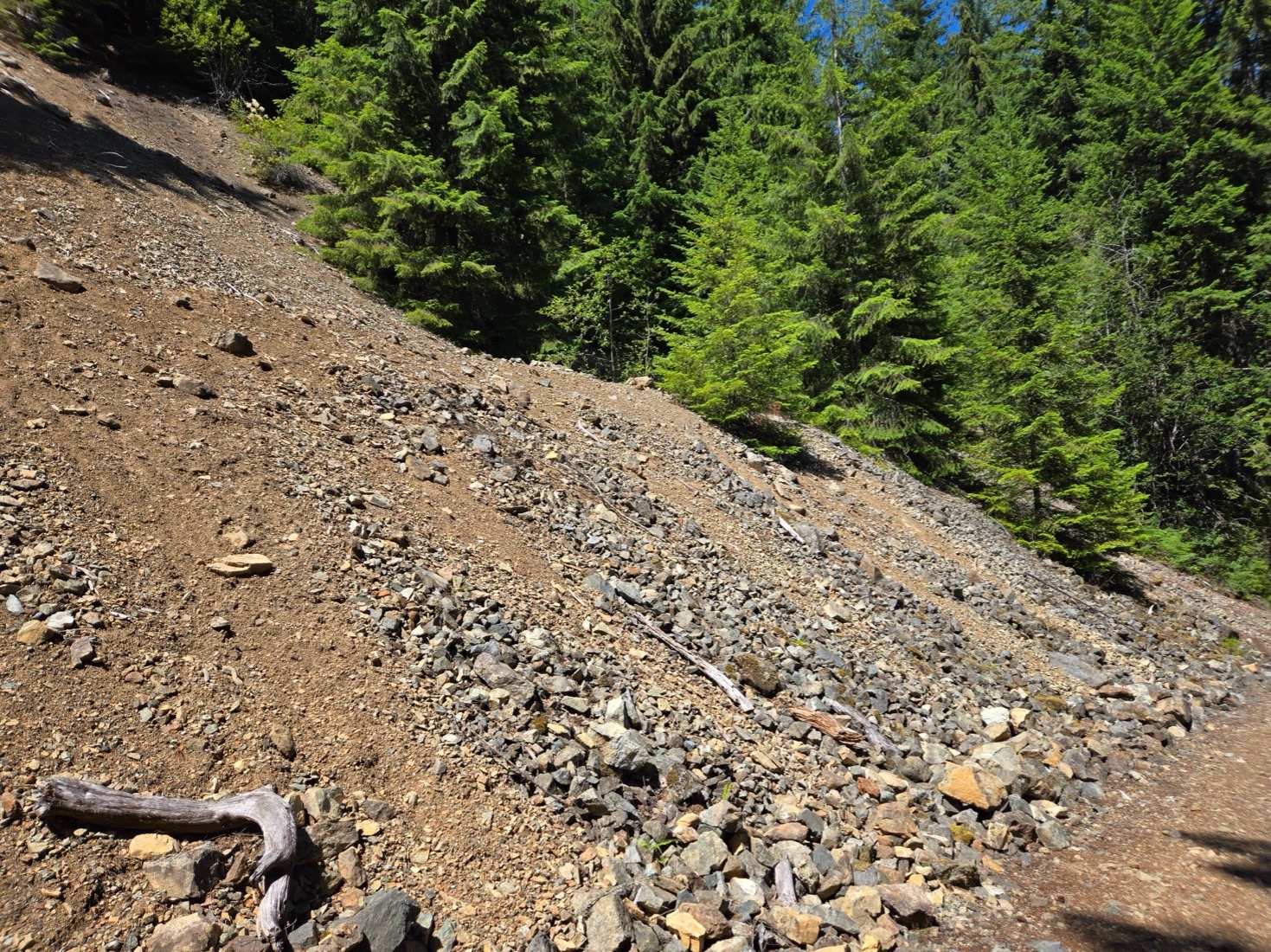 Blue Grouse map