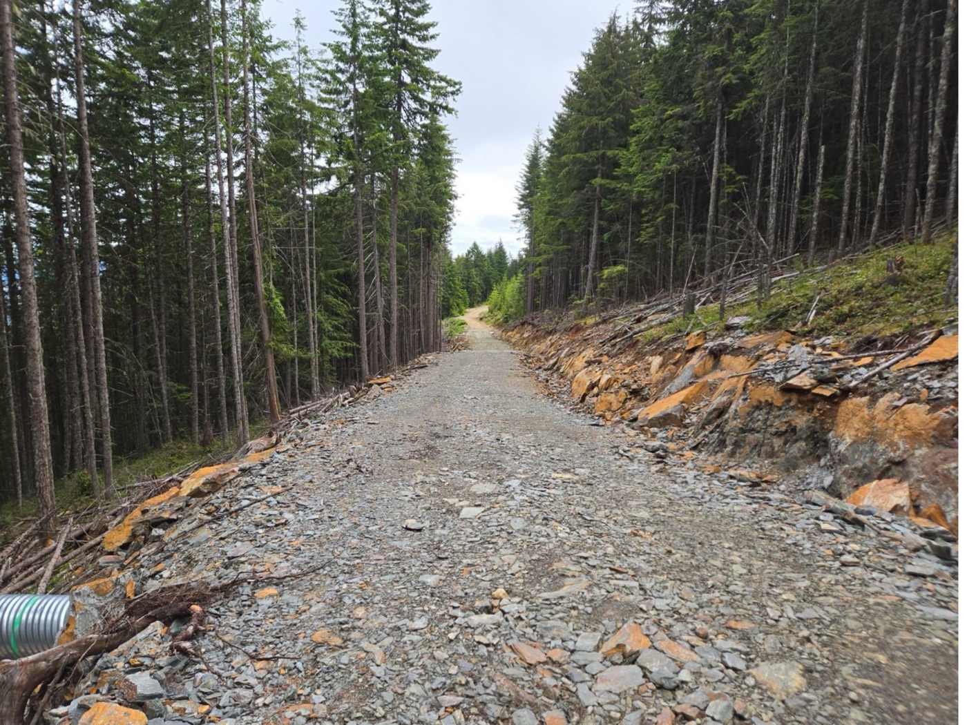 Copper Road map